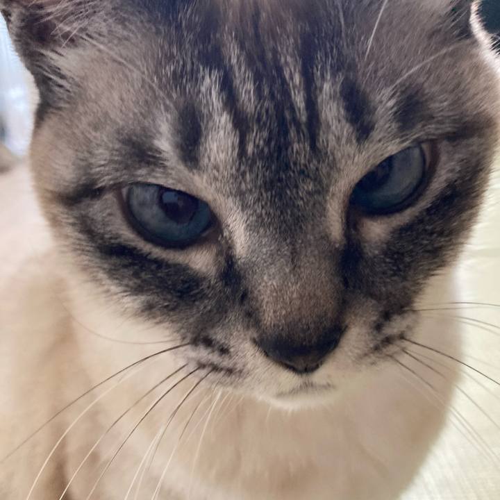 7d227806 eef2 466e a423 41bbd4460084 1742696495579