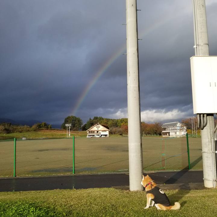 7d228505 d4d5 465f 88df 7fe52b669139 1730961092037