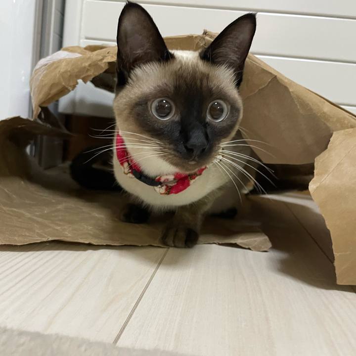 7d22ade5 3211 4d66 b126 9c65b6e69bd4 1707161340306