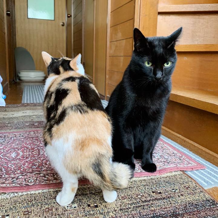 7d22f490 0b94 4311 9ee9 0c9e13d7345b 1543804030867