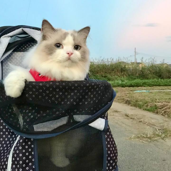 7d22f51d dfb3 4115 97e2 5d0da981bb47 1632469816815