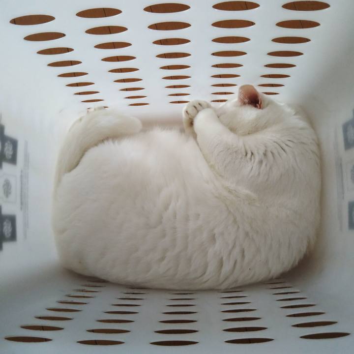 7d22fa76 b660 4c65 8978 ff425489dc5d 1626314303423