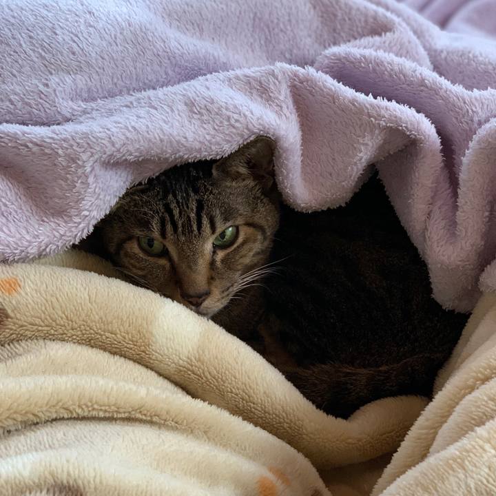 7d23238c e7ae 4d7a 8ab1 9c08204ae244 1549243789683