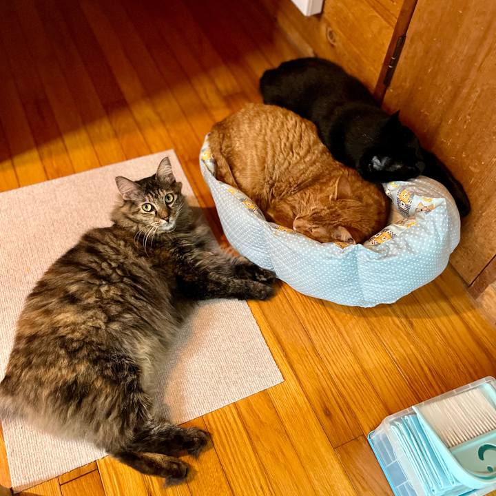 7d23329a 2972 4895 b8c6 3eafe41f8c34 1689292103825