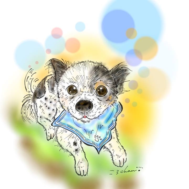 7d233323 7ea0 415a 9c0e aefbac844fae 1587917266548