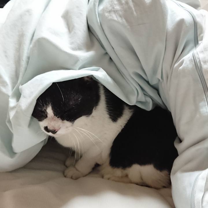 7d234270 9862 472b 98aa fd67980b5553 1669587705135