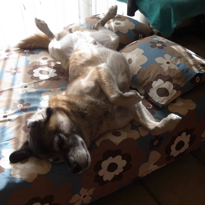 7d23667d f694 47be 80c7 4c298350114f 1594118080981