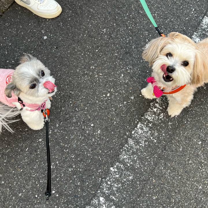 7d2395f9 c16a 4135 8323 089d4a64a2e9 1714650110700