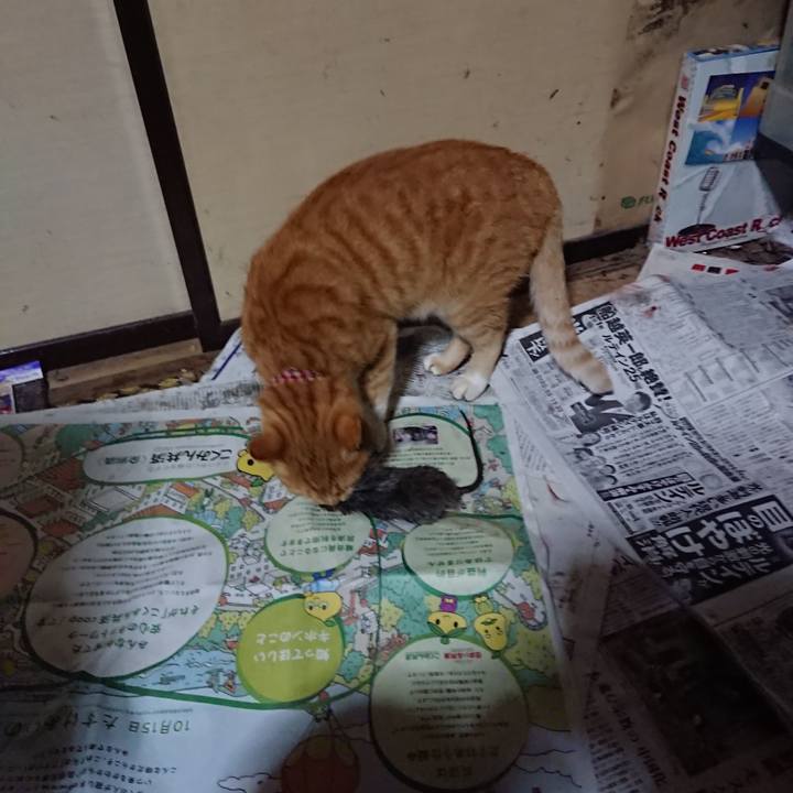 7d23a5c7 e122 458a a35d 591265deb82d 1603450627841