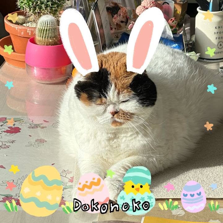 7d23ca0b 61df 44d8 9d52 7695d969de9b 1712264694188