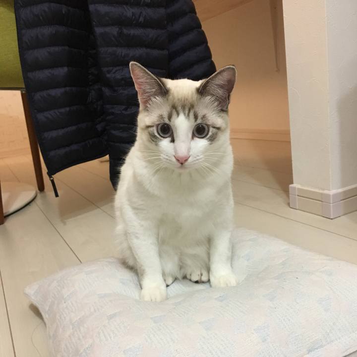 7d23de8c bec7 4d56 9ab7 69f1387cb542 1515415853604