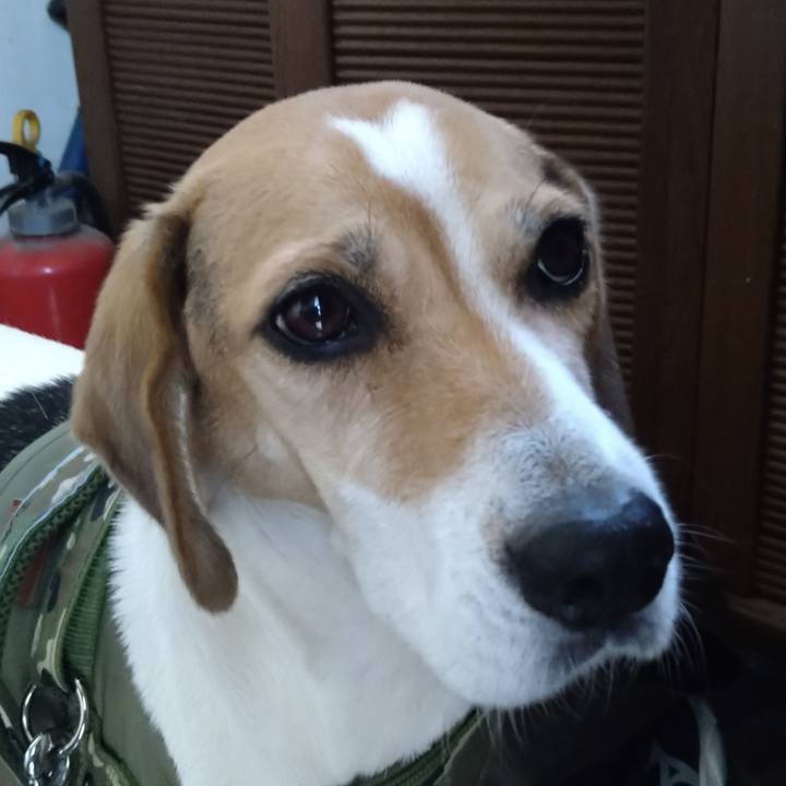 7d23e92f 7af7 429d bdc1 61600c5aeded 1669389940437