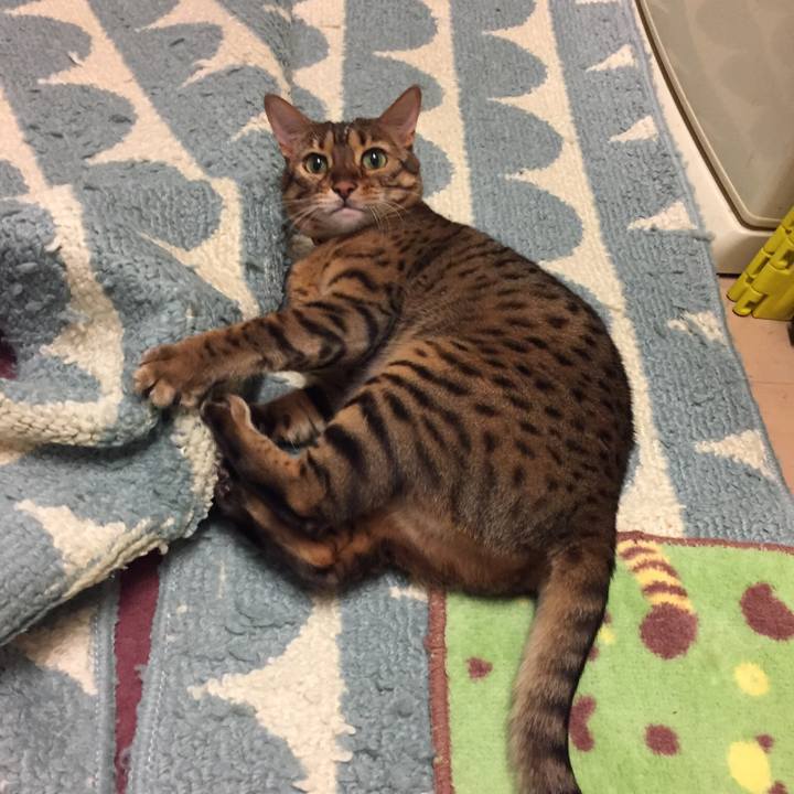 7d2404ef 20d4 49e2 b010 9691d2197f0e 1533625661410