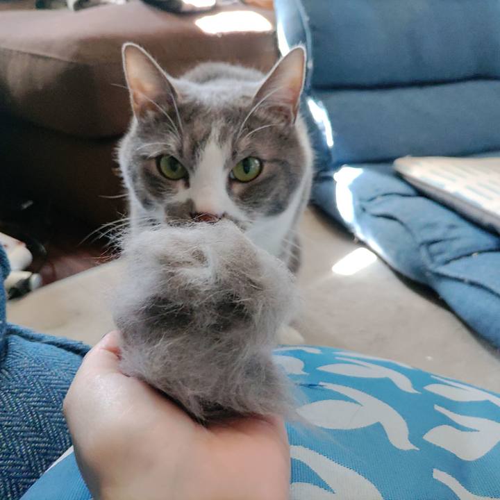 7d242408 cef2 4ace 9e16 20a64bdee9bd 1713319226626