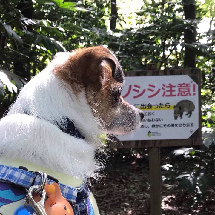 7d24375d c53c 4001 ace6 0044c6ddbc3d 1537681451343