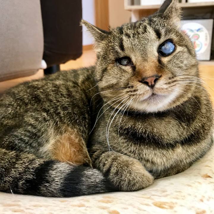 7d244552 c624 4896 9e48 522e4375ca11 1551061408861