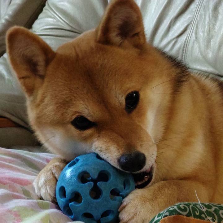 7d244b1a 7e1d 4912 8f7d 407afd77d41b 1640994188556