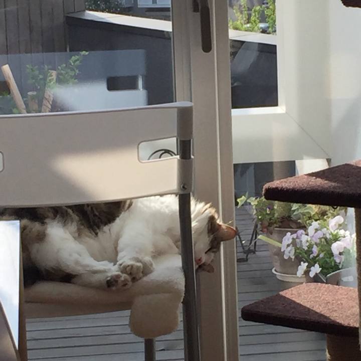 7d245ff7 09b5 4201 9b7c b2c5acf5c999 1523191871053