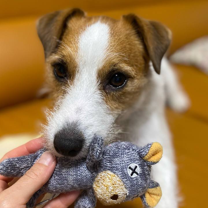 7d249a5e 0a92 4a5f b4c5 b8a21954c2ed 1721482111205