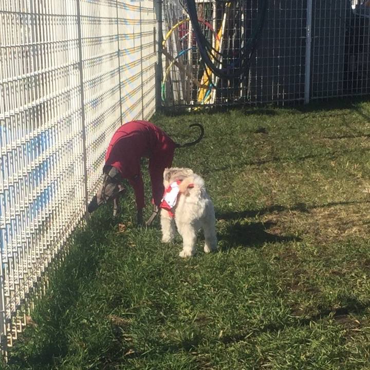 7d249d24 fe0f 4ad0 94fd fff834804523 1512797846159