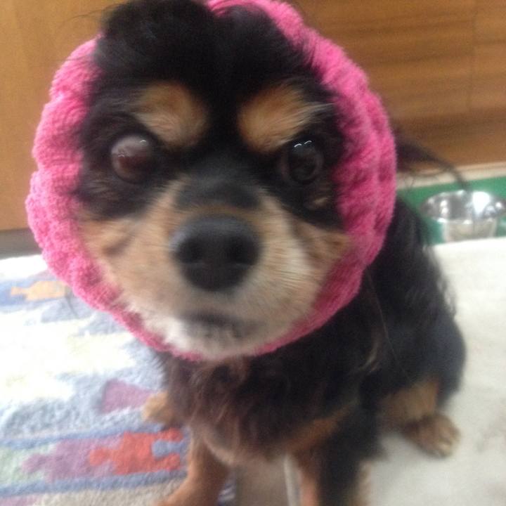 7d24c810 cedb 4299 9b49 da7040ed0922 1512970709050