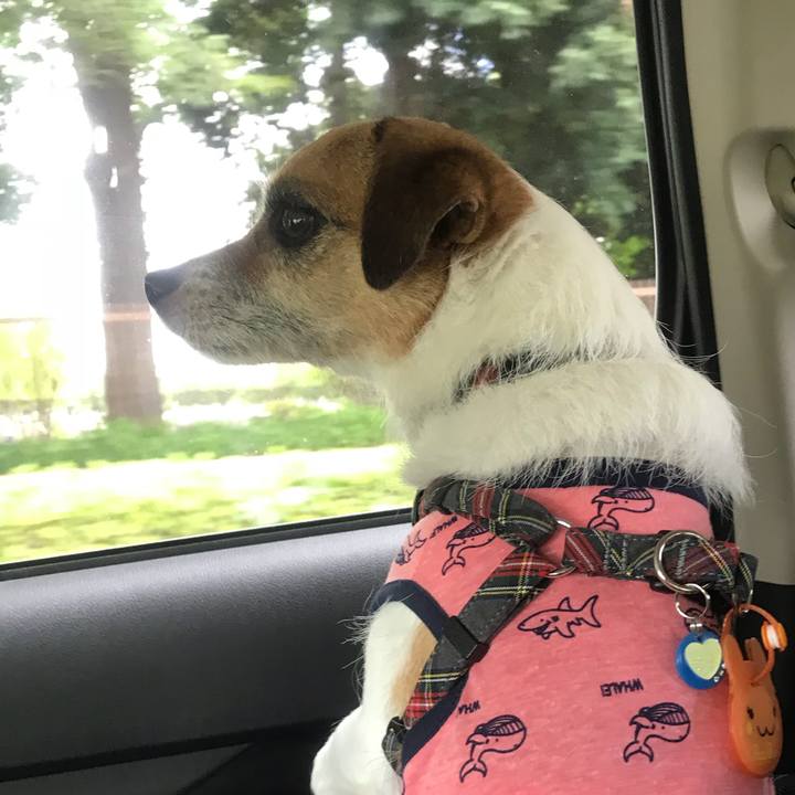 7d24ec4e d81a 452b acaa b3c783892bb6 1530923821174