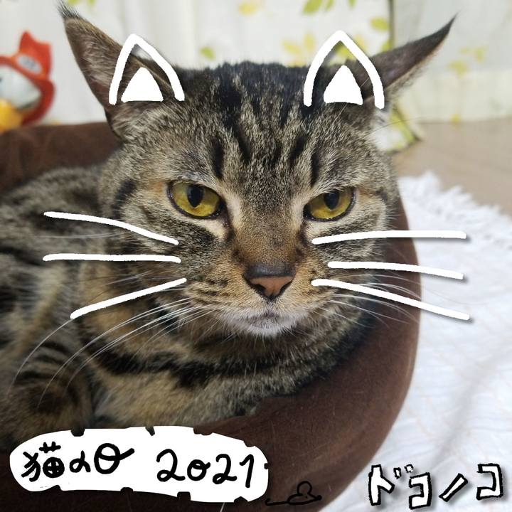 7d252c2b 81c6 449f 858f 4bd3bee310c4 1613992417392