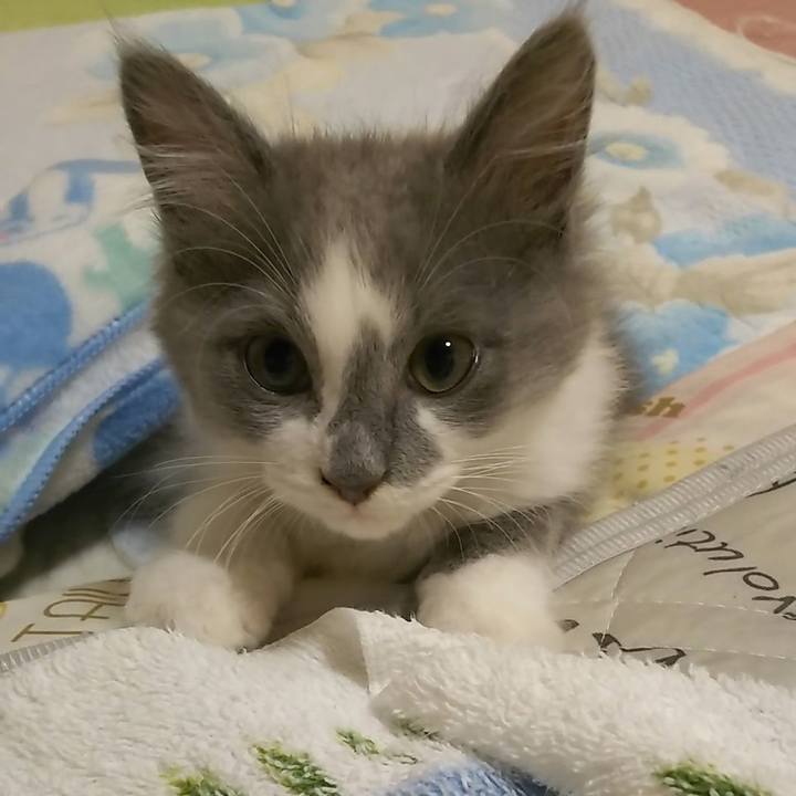 7d254d9a 94ce 4843 bcbf df68219790dc 1562719392909