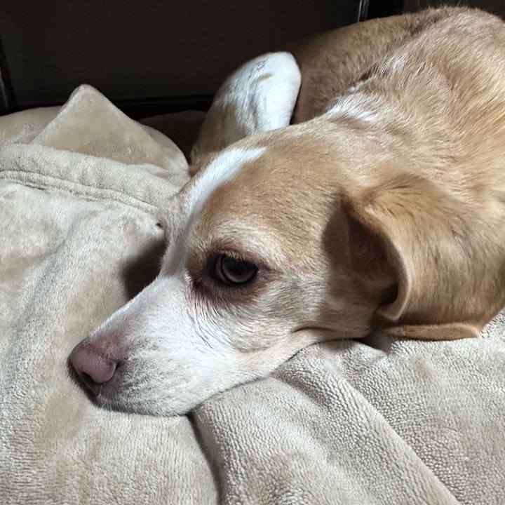 7d2561c8 de0a 46eb 8e8e b7cbac602b8b 1703320805194