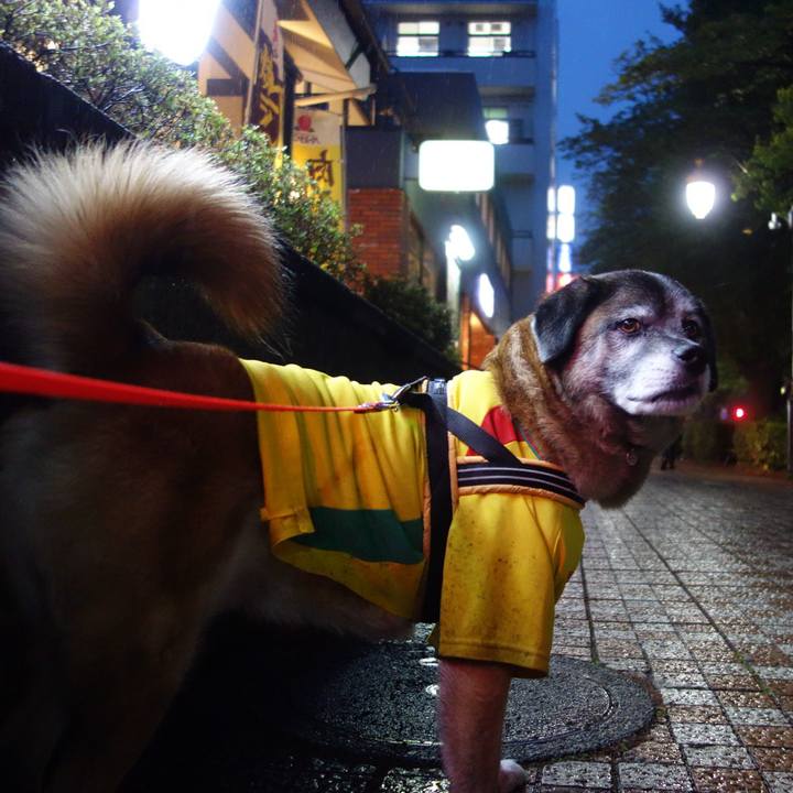 7d25a746 b37c 46e9 ab67 8479cda17b55 1634778555581