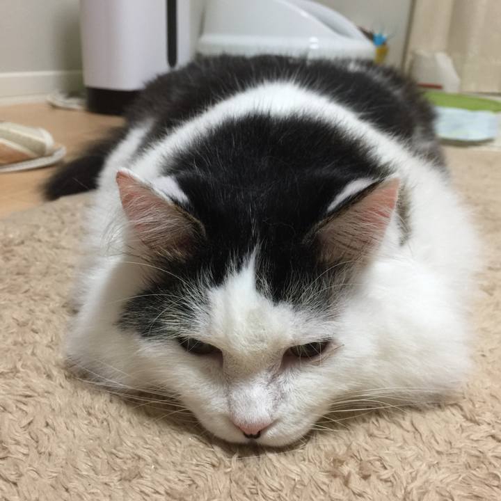 7d25b996 4746 48c7 a85d 79e026b59154 1533528185669