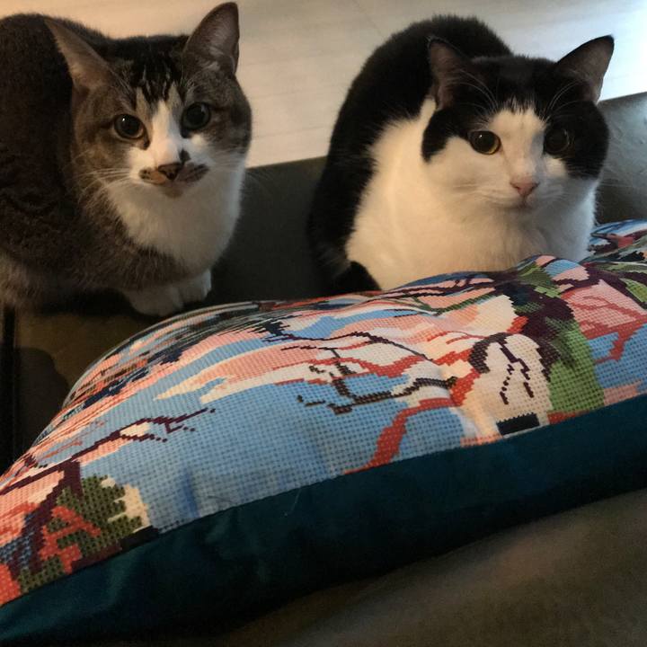 7d25d000 cd37 4edf a699 adfc0464335f 1515151557688