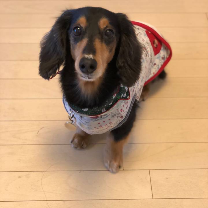 7d2627a2 ed09 4c9f a4a8 9a67fec5fa3b 1545787509355