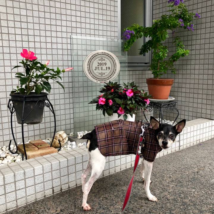 7d268613 3ef4 429f af46 b65b9d48c5ec 1563491414627