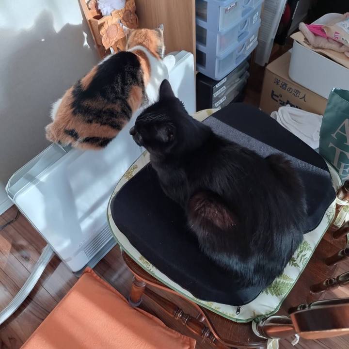 7d269360 3882 4b53 9e21 1709128eeef1 1763425354687