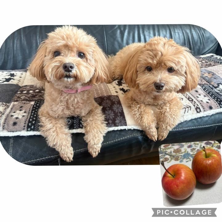 7d269480 4946 497e a4e9 eafccf2e3f2c 1763167894228