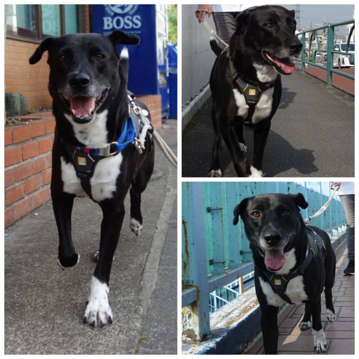 7d269cf4 ad83 4fee bf17 e38f4887c517 1653437032909