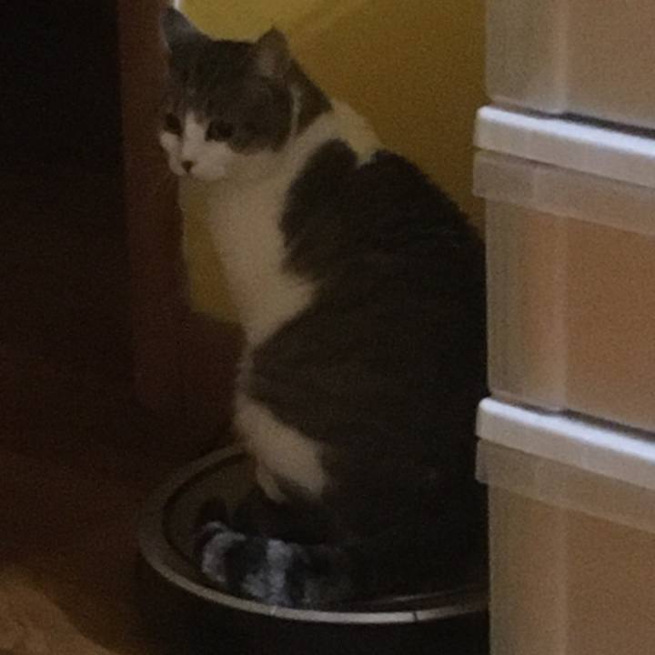 7d26b48e c29f 49b7 8baf 35f668fa0c1d 1633392961028