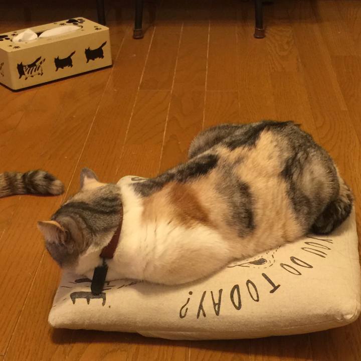 7d2754a5 3ba8 4f22 8127 551c3f3f4c80 1549206652092