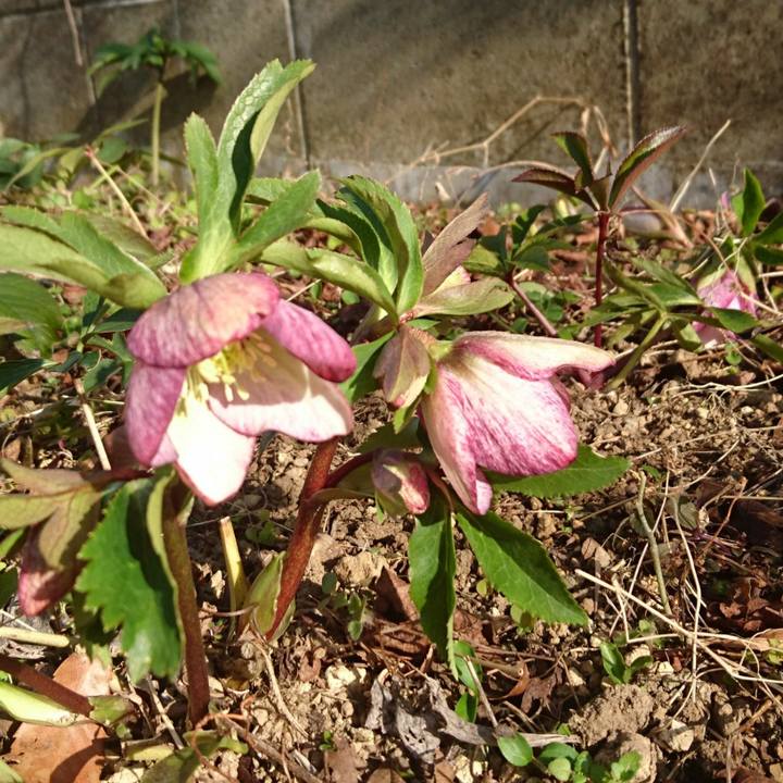 7d2817ee 10d4 407b a410 e901bcd771e8 1548722740645