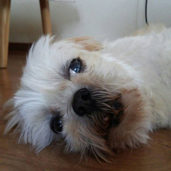 7d2820e8 bc4e 4ffa bf08 198752300be2 1527917897659