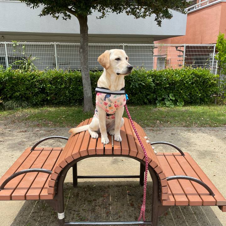 7d282255 35e6 4d14 88dd ddf6e828f55c 1622606486338