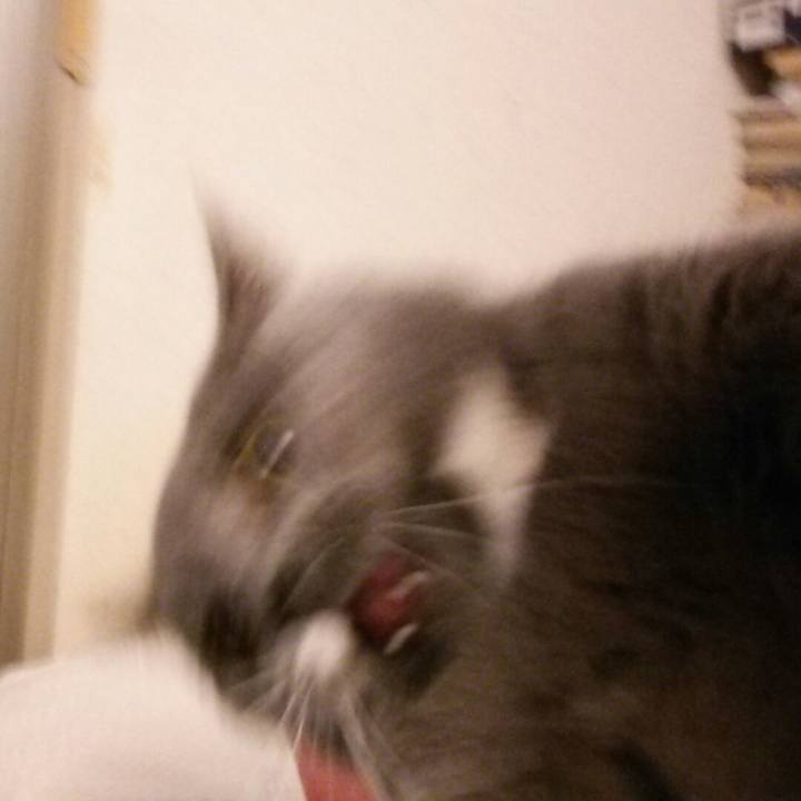 7d286996 d7f4 4cb8 90ac f13a56894eae 1576982730192