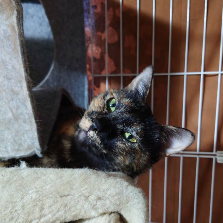 7d2891b9 da96 4915 bf0e 7df8a8fc12af 1700551476644