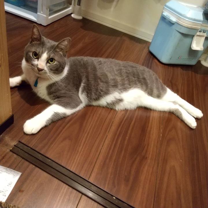 7d28cb82 6328 42a1 897e 4c380b004291 1632910179251