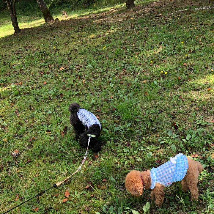 7d28e556 1327 4ceb a2f1 fd038273d2d4 1601455483705