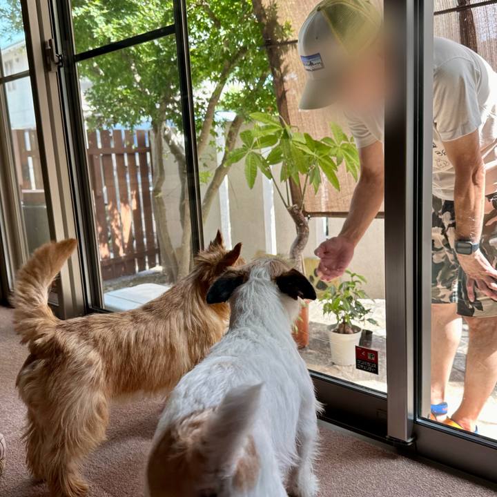 7d28f40a 413f 435b 9b21 40d60acea389 1722090218942