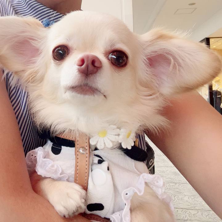 7d292814 b05b 497f b559 cebdeba2beba 1691229434616