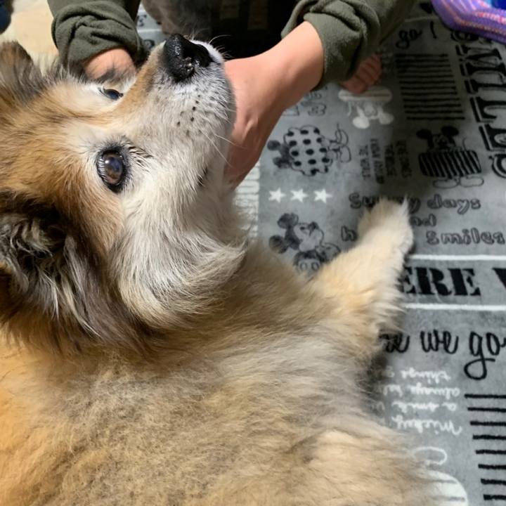 7d294420 26d1 4ef4 b4e6 a7f5712edbcb 1561934615453