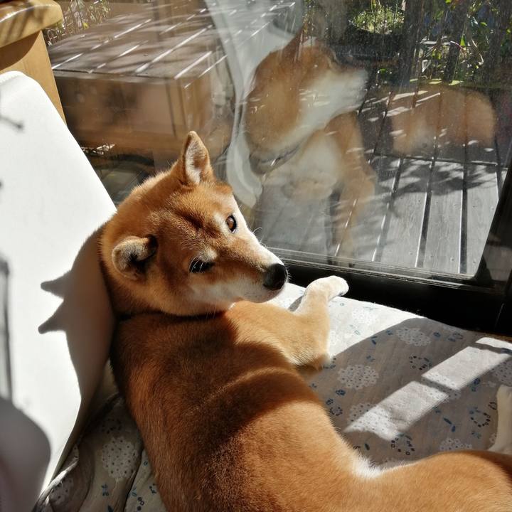 7d298341 7436 4225 8203 f02c288c0bc6 1580273945101